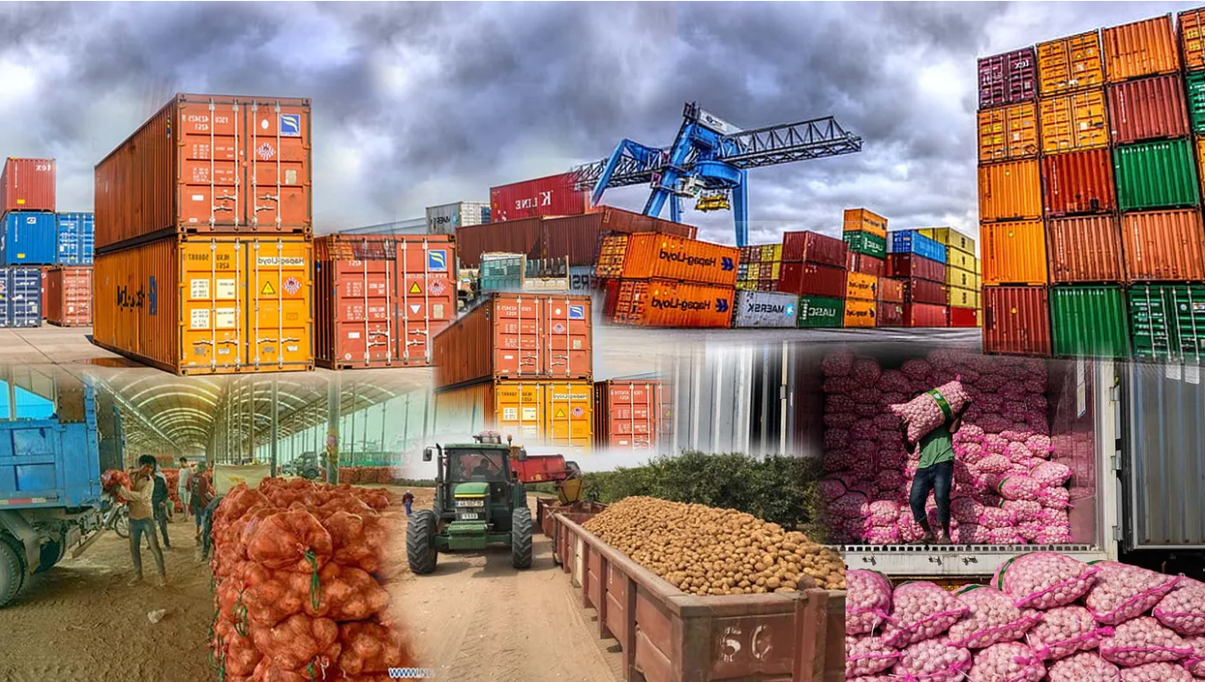 Agricultural Export Performance Analysis Dashboard